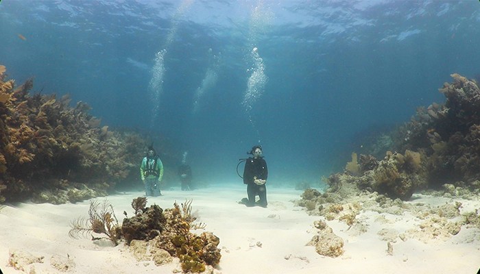 Still of three scuba divers on their knees on the sandy ground of the ocean floor. They are surrounded by plants, coral, and rocks. Streams of bubbles rise to the surface from their breathing.
