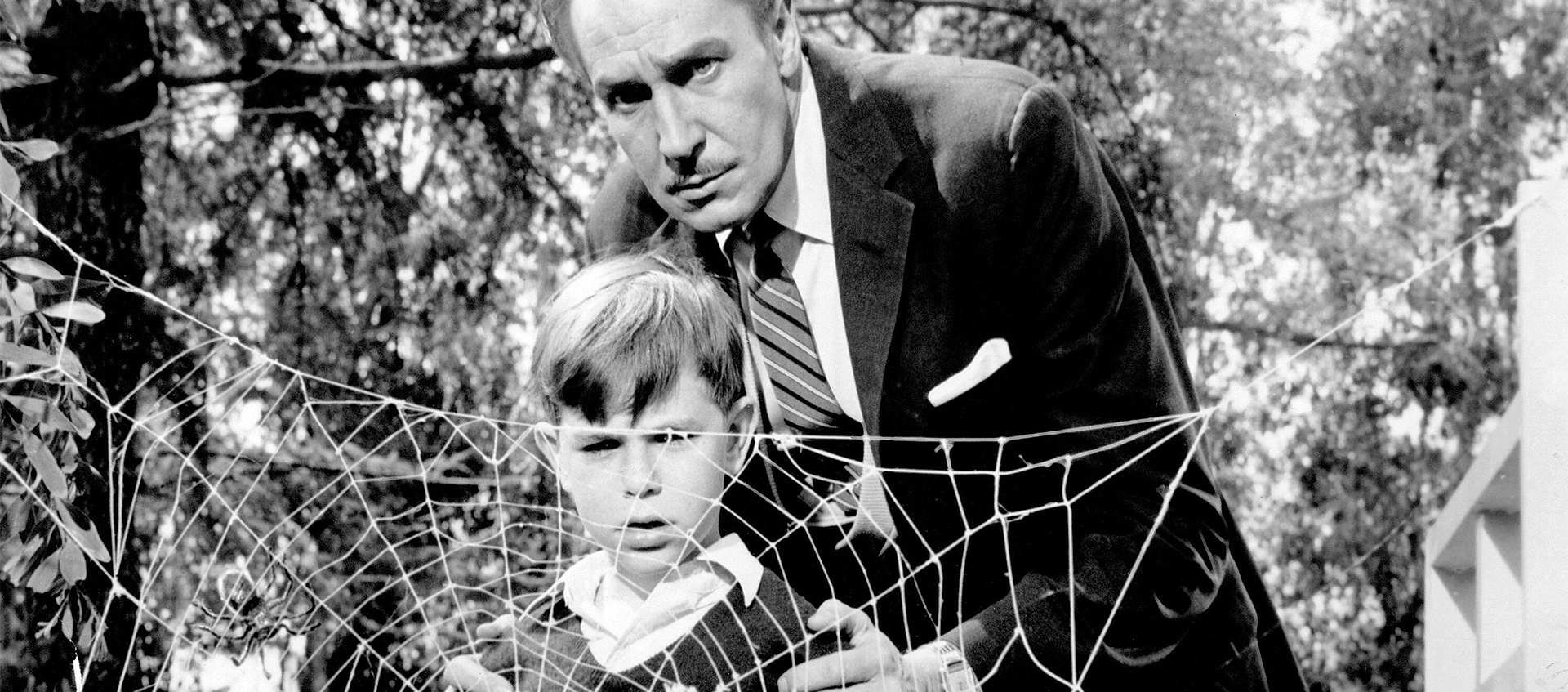 Boy and man in front of a spider web
