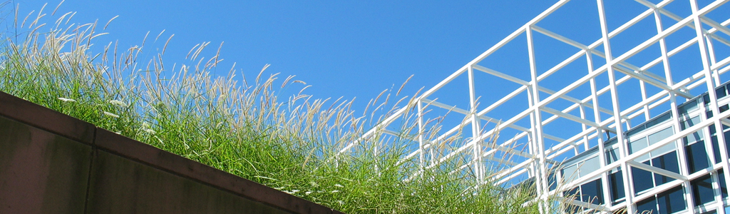 wexner center for the arts