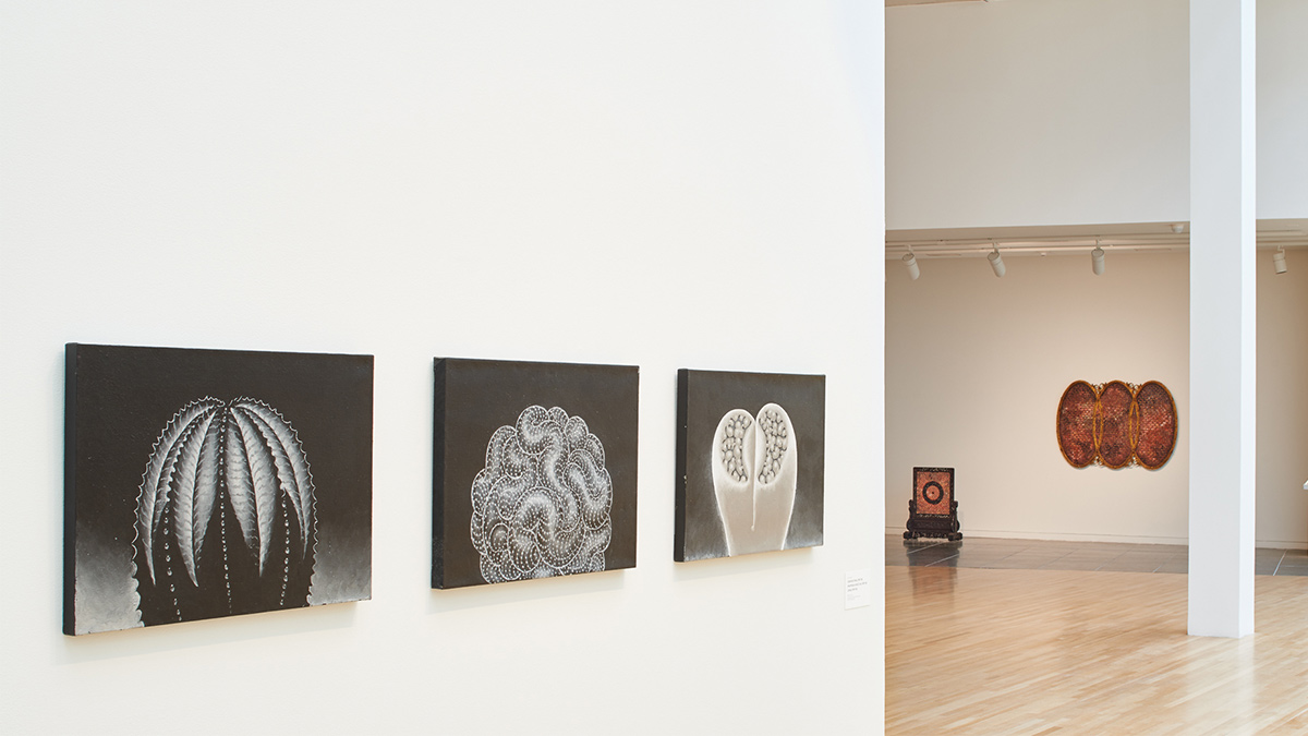 installation view in the Wexner Center galleries