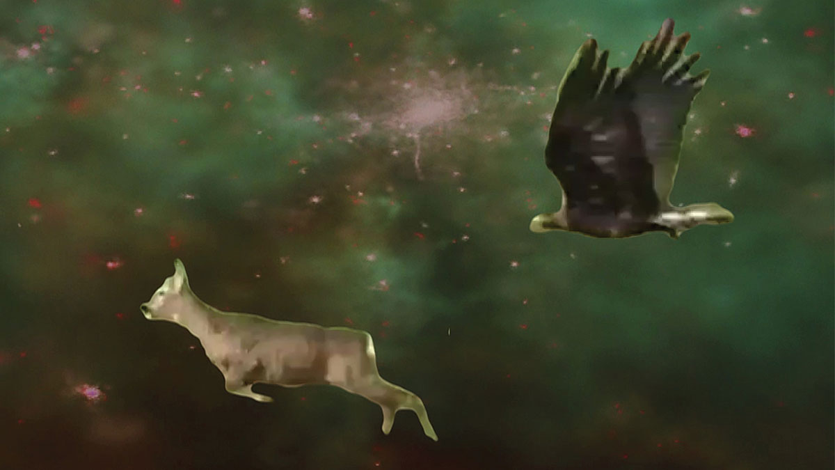 edited picture of an eagle chasing calf in space