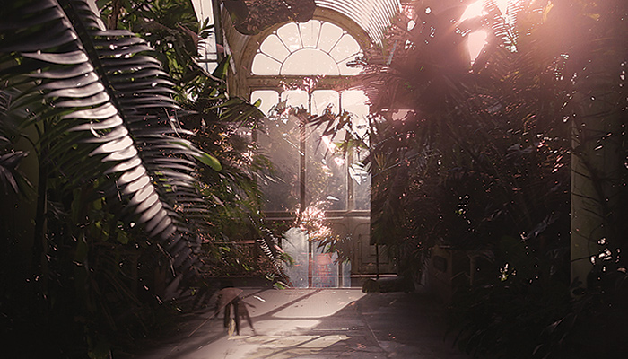 Still of palms and a sun-filled glass door in the Kew Gardens from the continuous loop video work "The Ague" by artist Pilar Mata Dupont