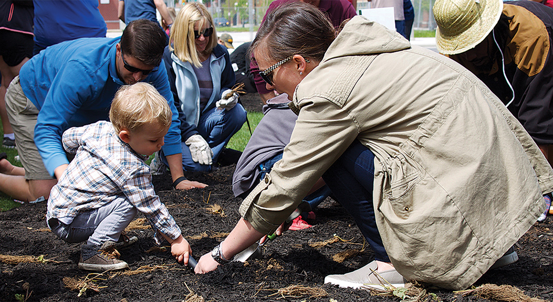 A child helps plant a tree.