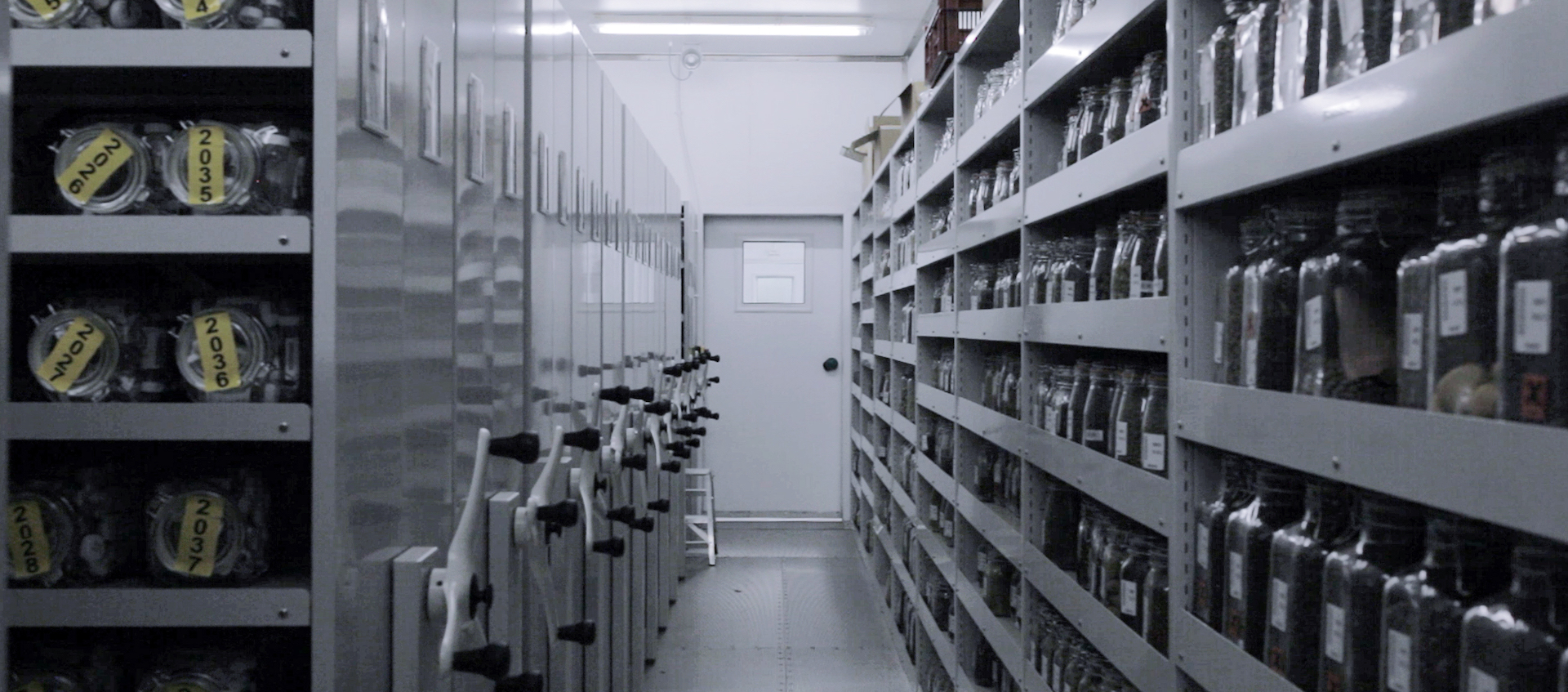 A shot from inside London's Millennium Seed Bank, in the 2018 video work The Ague by artist Pilar Mata Dupont