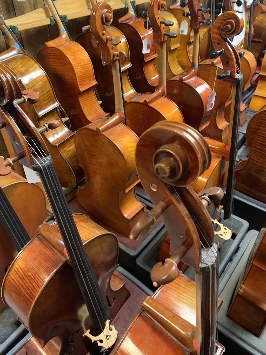 A selection of cellos at The Loft Violin Shop in Columbus, OH