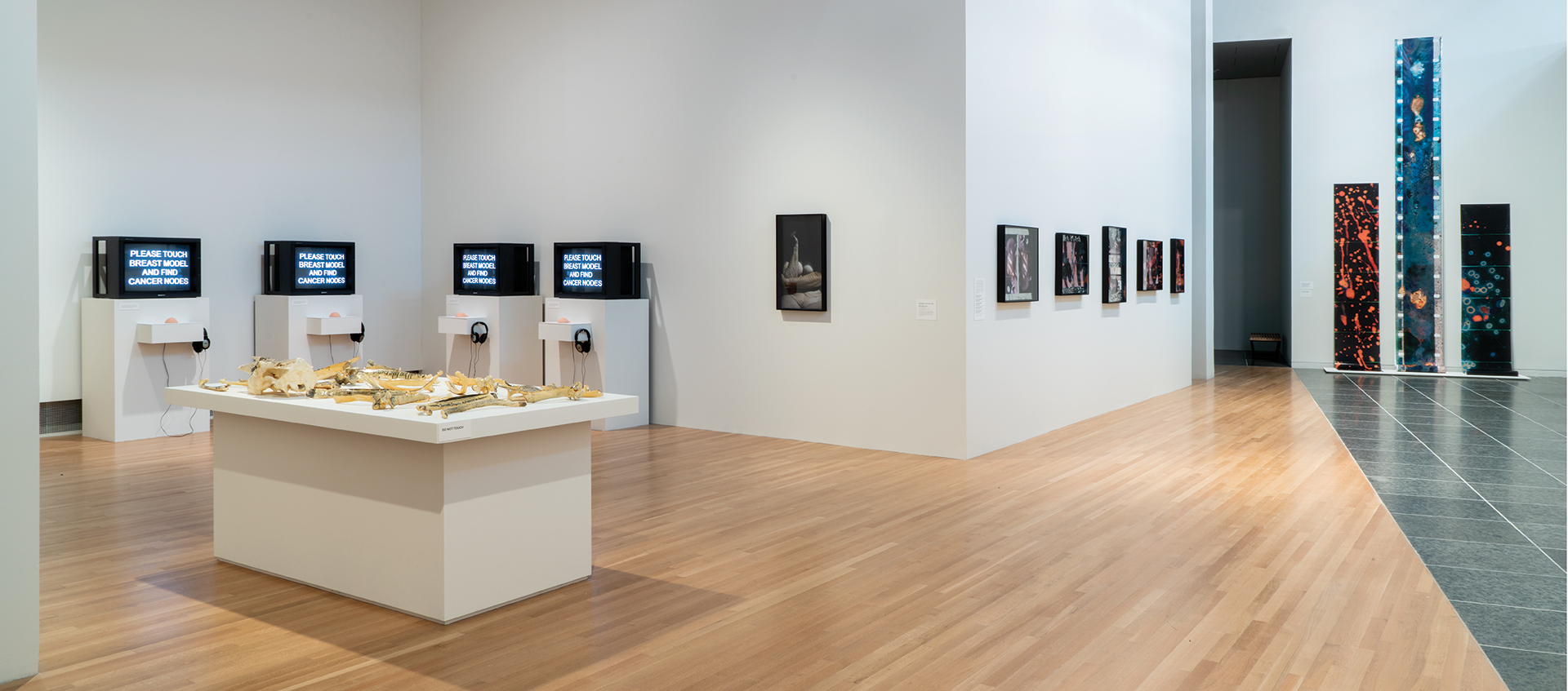 Installation view of Barbara Hammer: In This Body at the Wexner Center for the Arts