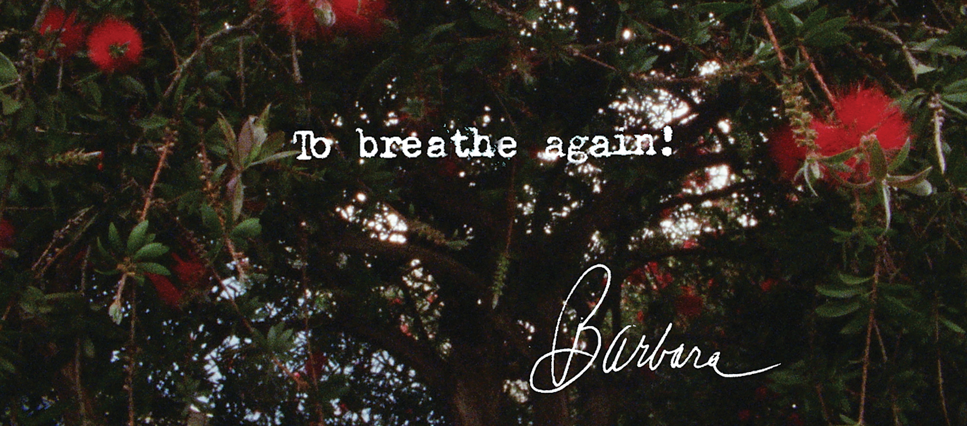 Foliage with text overlay to breath again