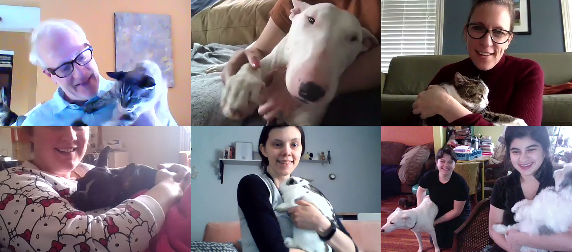 Video conference images of Wexner Center staff with their pets