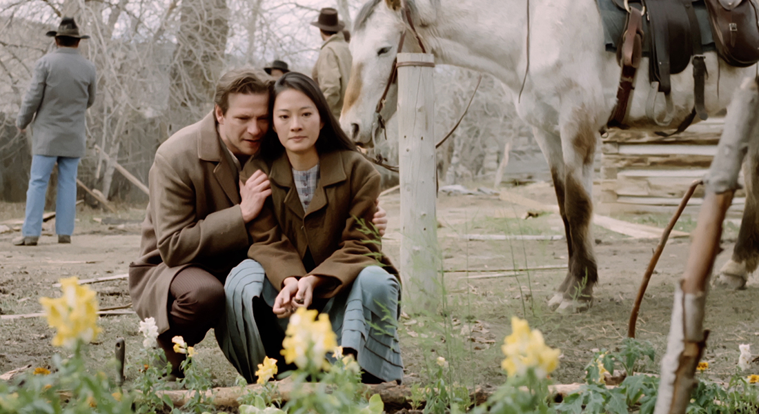 a man with arms around a woman squatting in front of garden with horse beside them