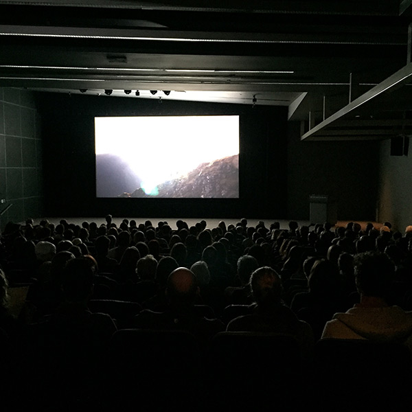 Image of a crowded Wex Film/Video Theater. A sea of heads look toward a bright light projected on the screen