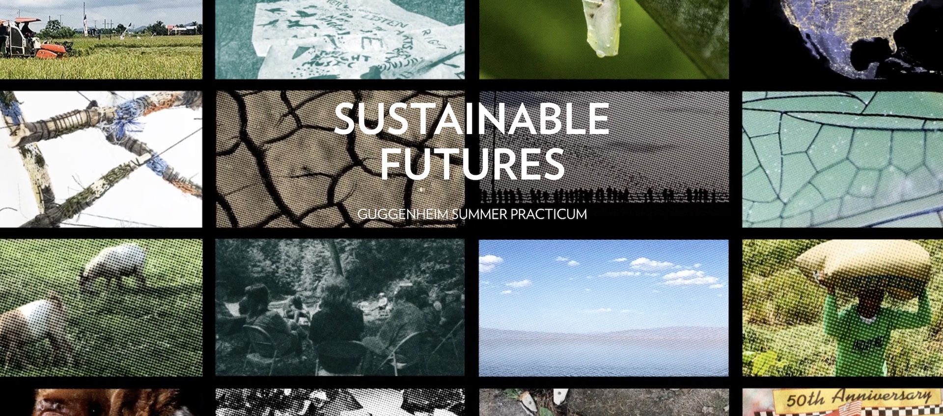 Home page image for the Guggenheim Summer Practicum project Sustainable Futures