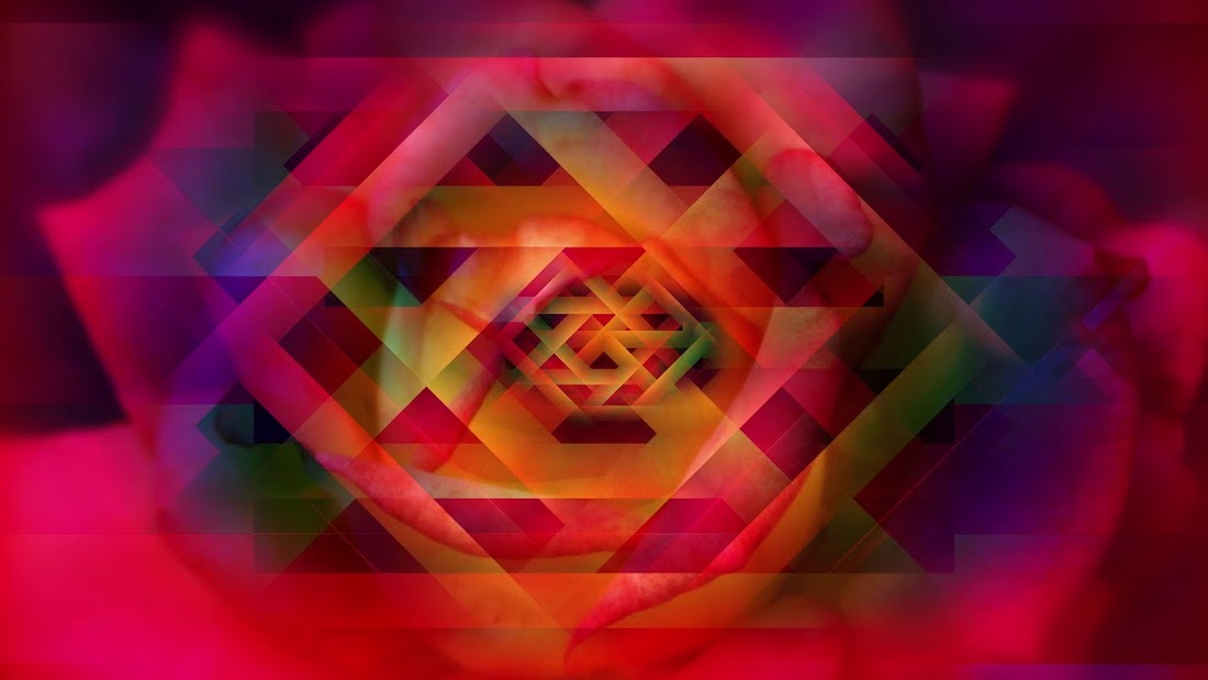 A still of abstract colorful patterns from Eric Homan's film Rose Vortex | Prism Bloom