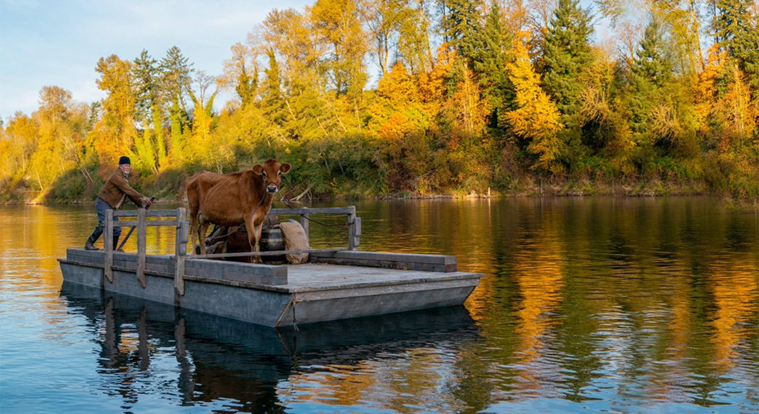 A cow sits on a barge floating on a river in the midst of vibrant landscape of trees and bright yellow and orange leaves on trees surrounding the lake.