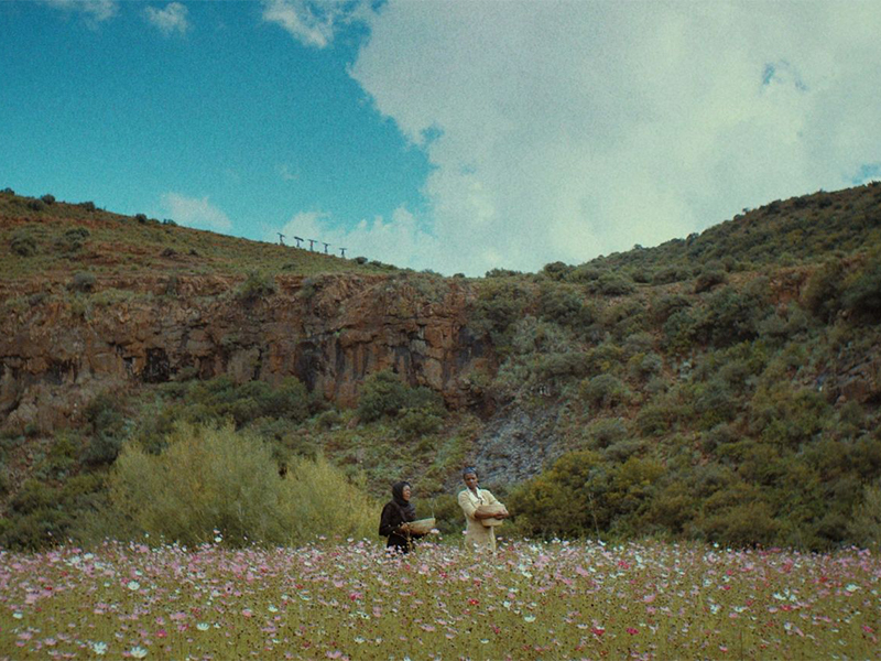 Two people stand in the middle of field of flowers against the backdrop of a hill.