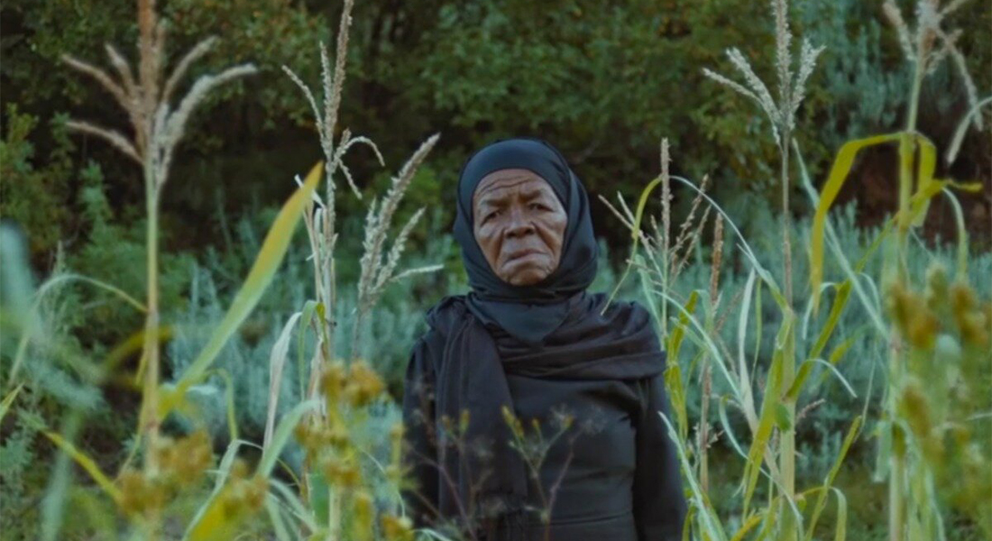 A person stands in the midst of plants in a field.
