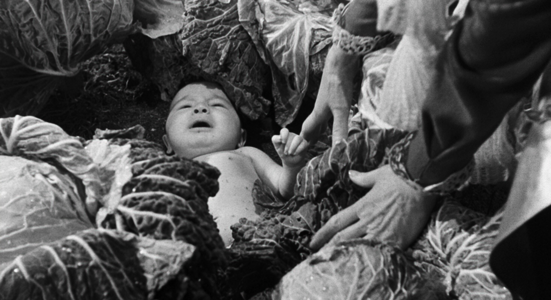 A black and white image of a baby laying in the middle of shrubbery. A pair of hands reaches in from the side of the image to touch the baby