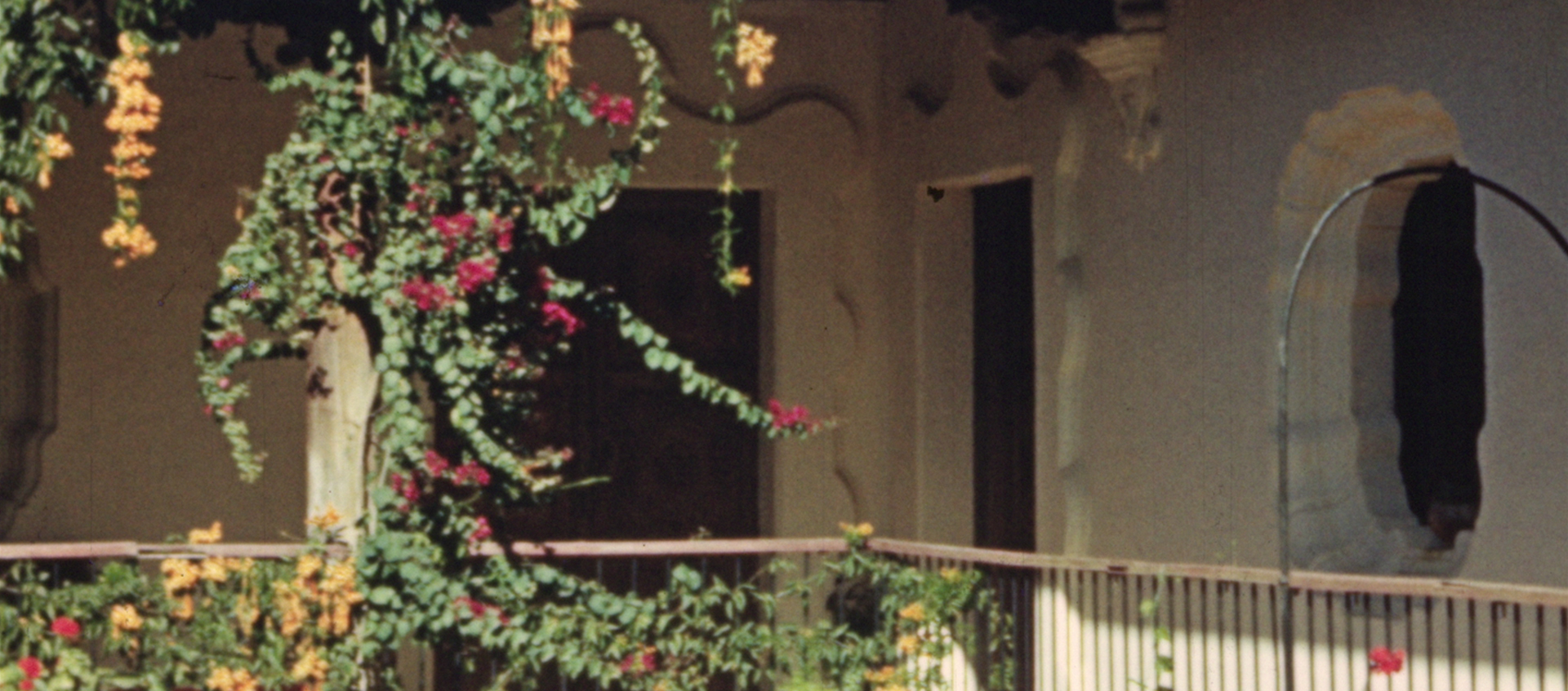 Film still of an outside corner of a white house with vines filled with pink flowers climbing up the gate to the tiled roof.