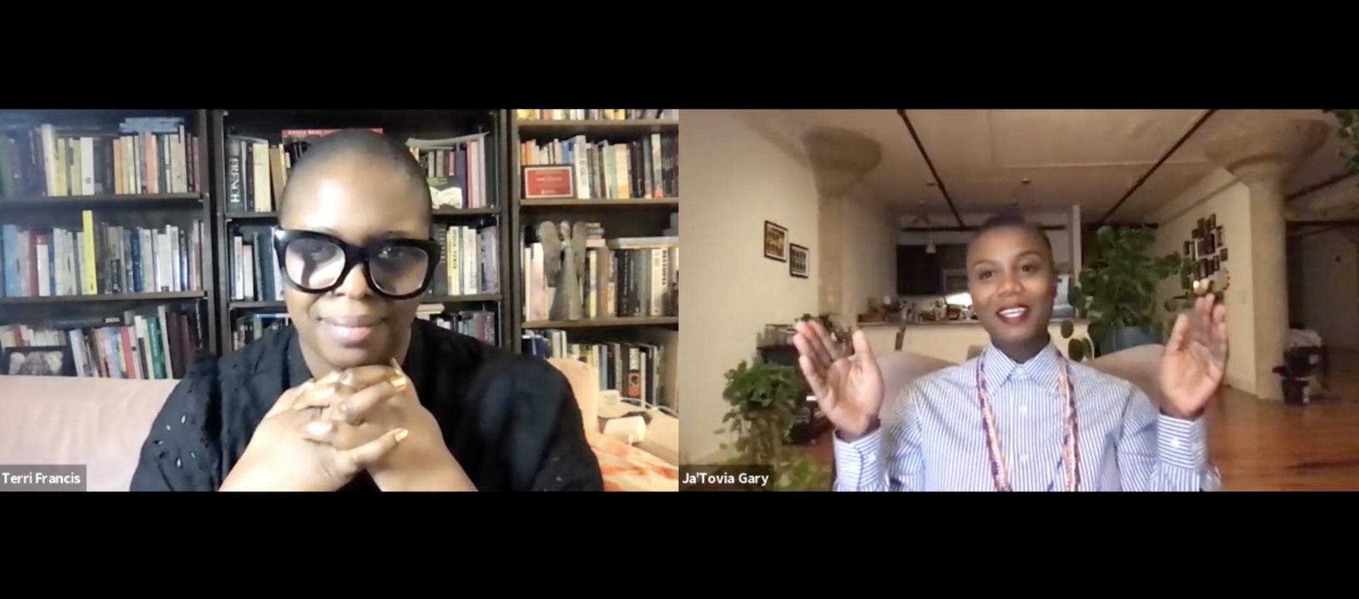 Screen shot of virtual conversation between Dr. Terri Francis and Ja'Tovia Gary