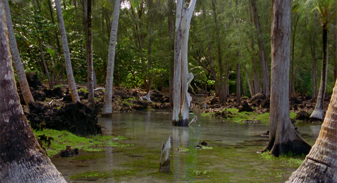Still of a marsh filled with green grass and tall tree trunks coming from the shallow water with a lush green forest in the distance. A figure of a person—edited to be camouflaged with the background—leans against a tree trunk.