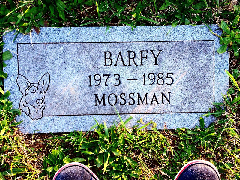 A tombstone amidst a patch of grass. On the left side is an outline of a dog. The text on the gravestone reads "Barfy 1972-1985 Mossman"