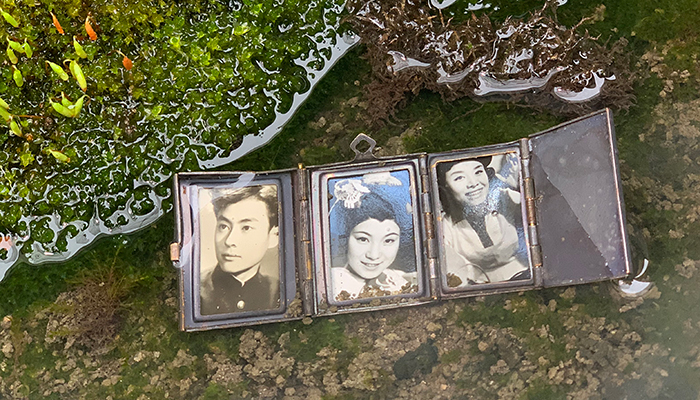 A locket containing three frames featuring black-and-white headshot photos of three individuals. It lies in shallow water filled with green moss and plants.