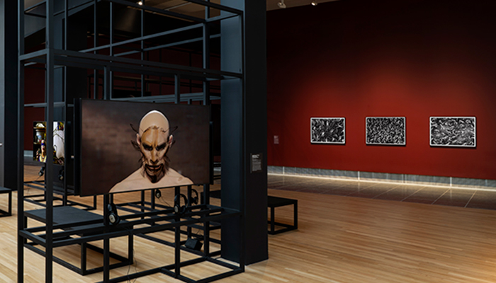 Gallery with burgundy walls and black scaffolding structure that displays monitors and photographs.