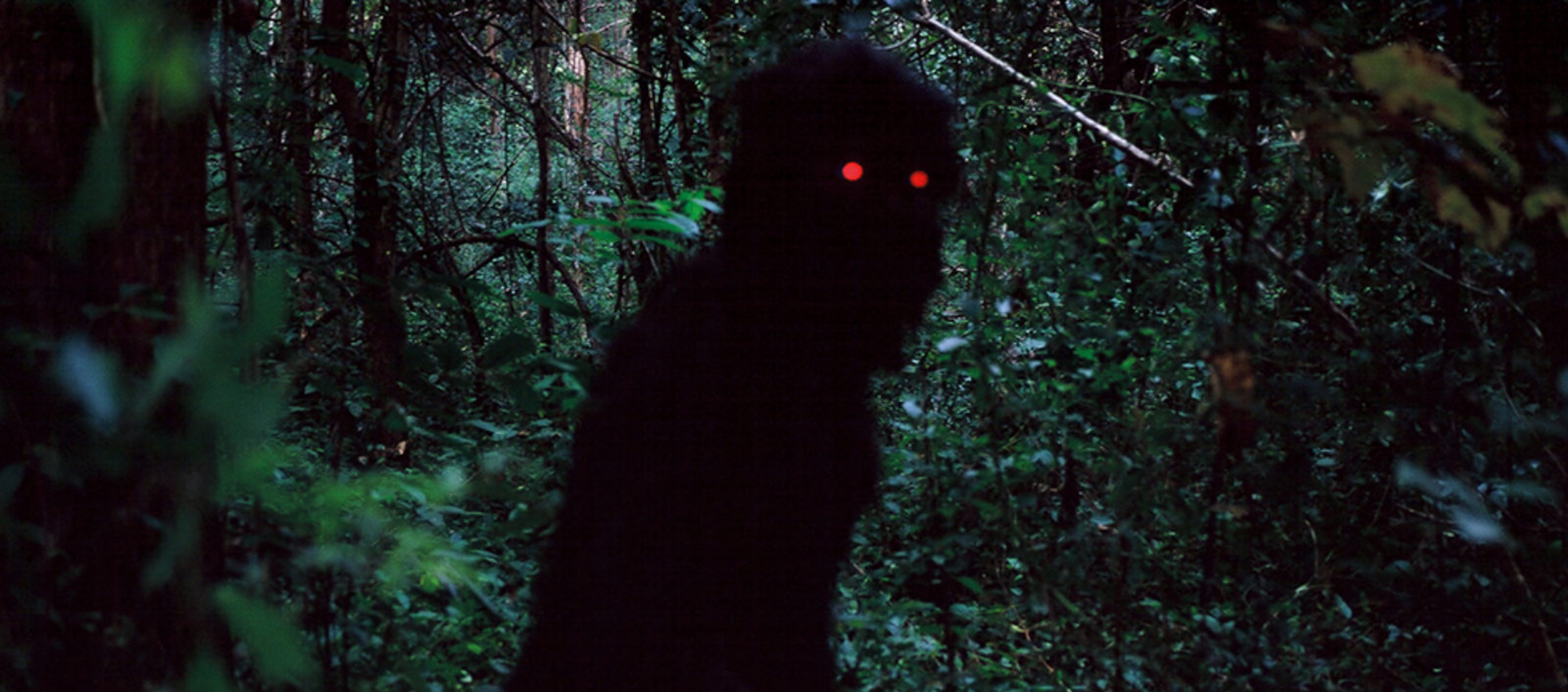 A mysterious shadowy figure with bright red eyes looks out at the viewer from within a dense, dark jungle.