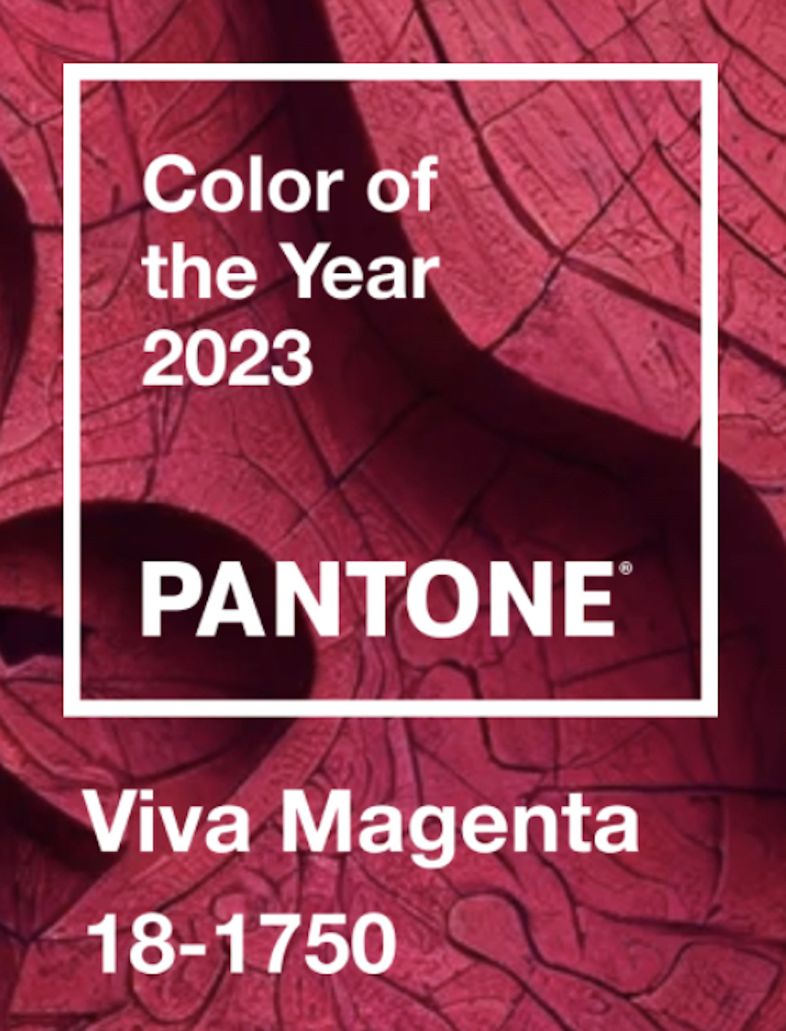 A graphic with a textured background in Viva Magenta, Pantone's color of the year. The color's title and corresponding number are laid over the background in sans-serif white text