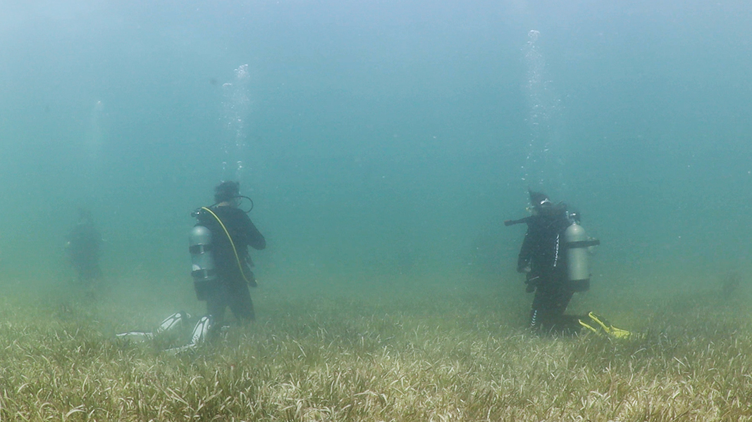 A group of divers kneels in embodied awareness practice in a meadow of turtlegrass, the seabed of Biscayne National Park in the upper Florida Keys.