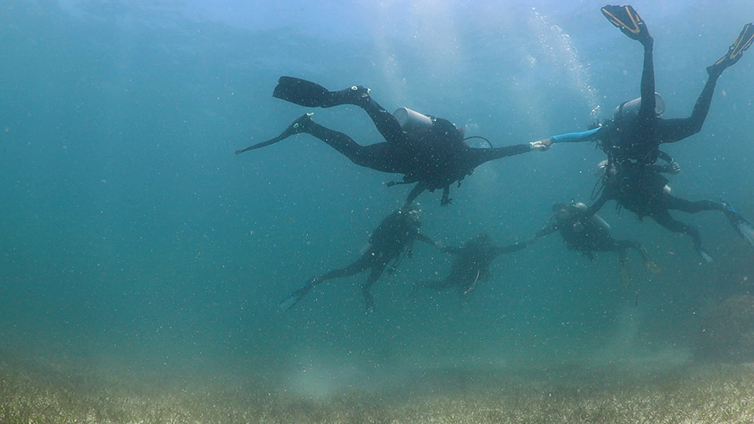 Six meditating scuba divers float, holding hands, forming a ring. They hover over a seabed, which is covered in turtlegrass.