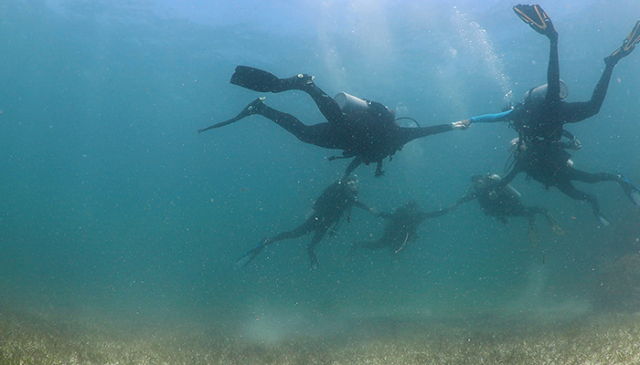 Six meditating scuba divers float, holding hands, forming a ring. They hover over a seabed, which is covered in turtlegrass.