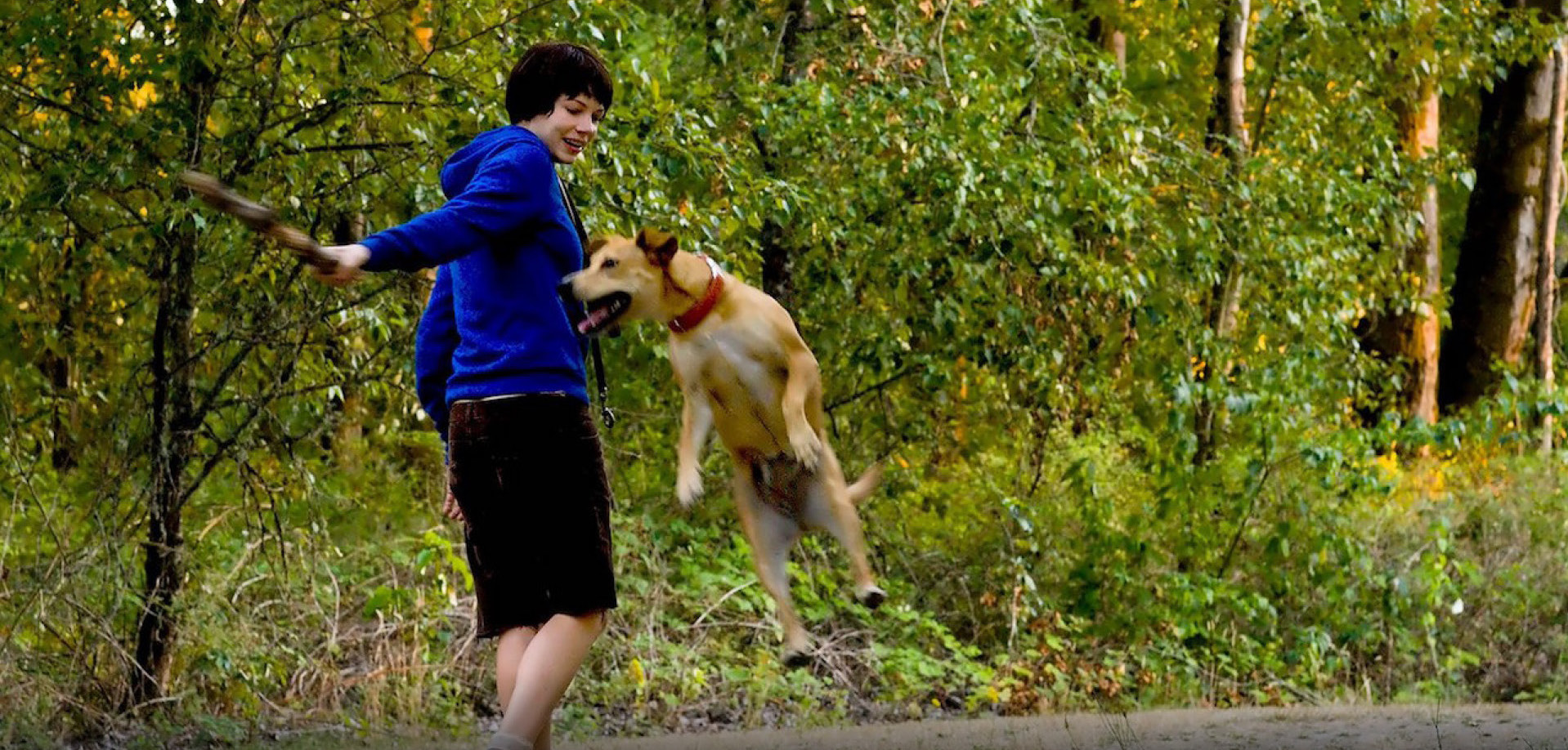 A young white woman stands in a green, grassy forest area. She has short dark hair and is wearing long, dark shorts and a dark blue hoodie. She's accompanied by a yellow mixed-breed dog. She's playing with the dog, pulling a large stick away from the animal as it reaches for the stick with its mouth.