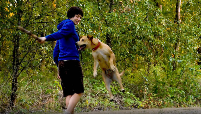 A young white woman stands in a green, grassy forest area. She has short dark hair and is wearing long, dark shorts and a dark blue hoodie. She's accompanied by a yellow mixed-breed dog. She's playing with the dog, pulling a large stick away from the animal as it reaches for the stick with its mouth.