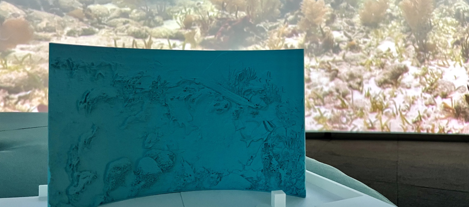 A small 3D tactile version of an underwater scene, printed on turquoise plastic, sits in front of a large screen with an underwater scene projected on it.