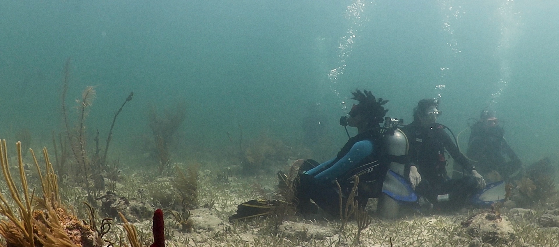 Three people in scuba suits sit on the ocean floor in meditation poses, amid cloudy blue-green water and underwater vegetation