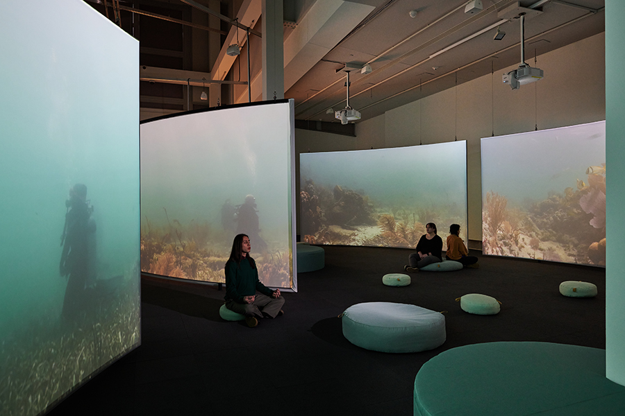 A dimly lit gallery space with four large screens projecting scuba divers meditating among coral reefs. Three visitors sit in meditation on round cushions on the floor.