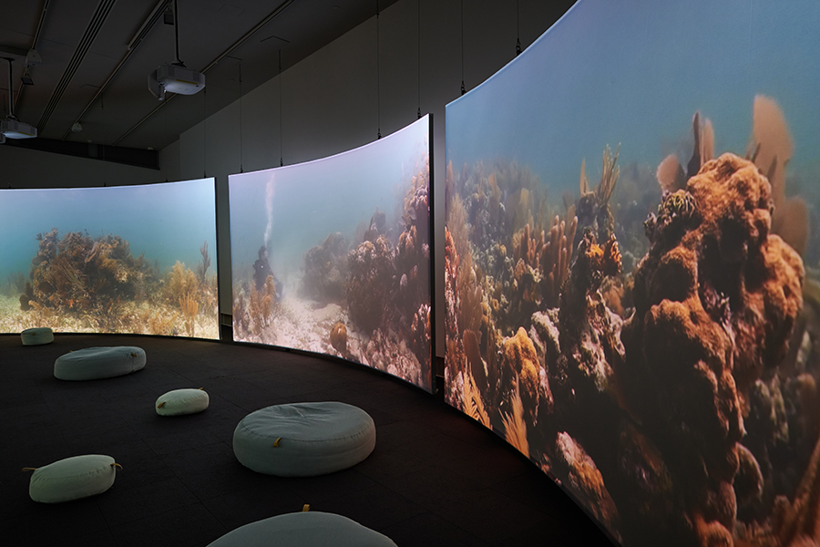 In a dimly lit gallery space, three large, curved screens project beds of coral reefs and sponges, along with scuba divers meditating on the ocean floor. Round cushions are on the floor.
