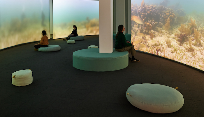 Dimly lit gallery with four screens spread across the image. Three figures observe on round cushions placed throughout space.
