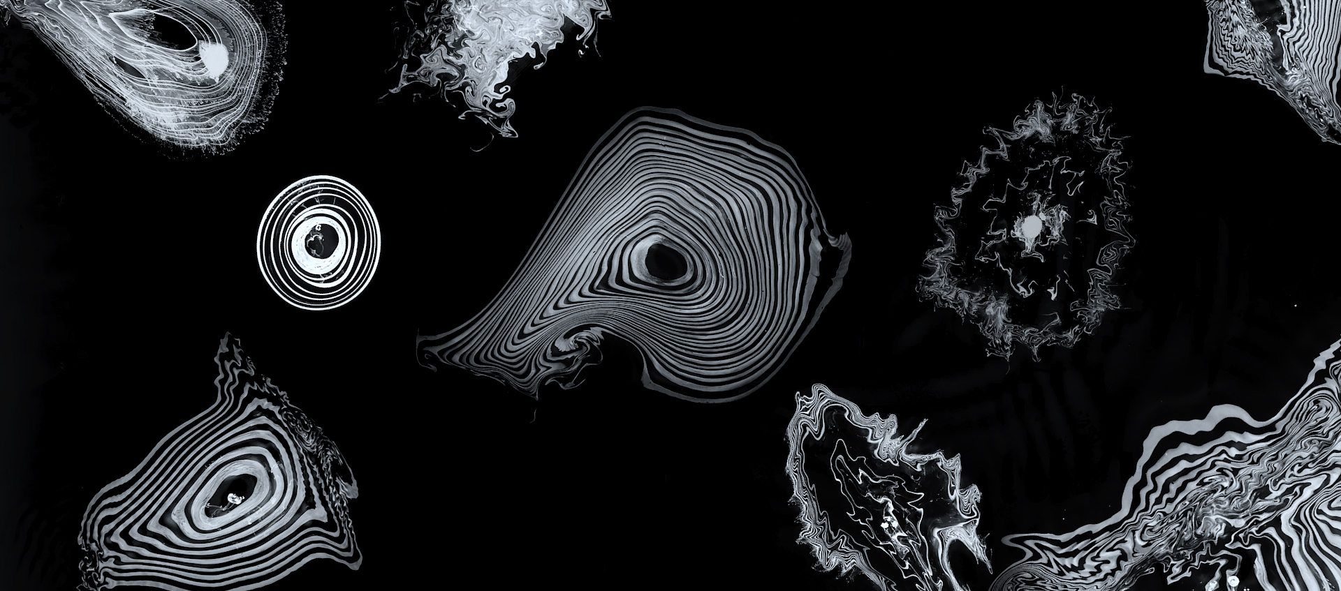 An assortment of abstract, ripple-effect-like patterns in white appear on a black background.