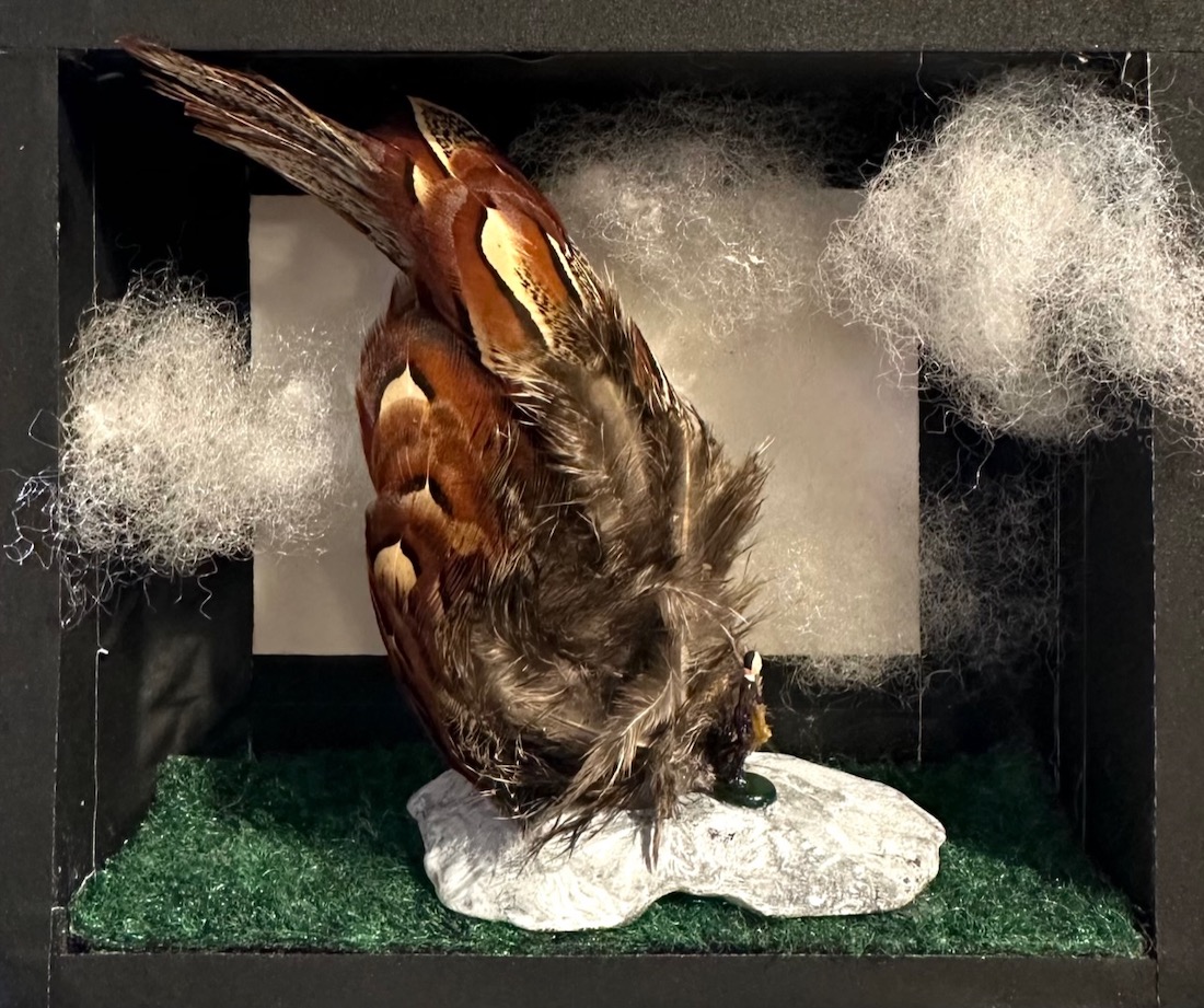 Three-dimensional mixed media artwork with feathers at the center, contained in a square black box.