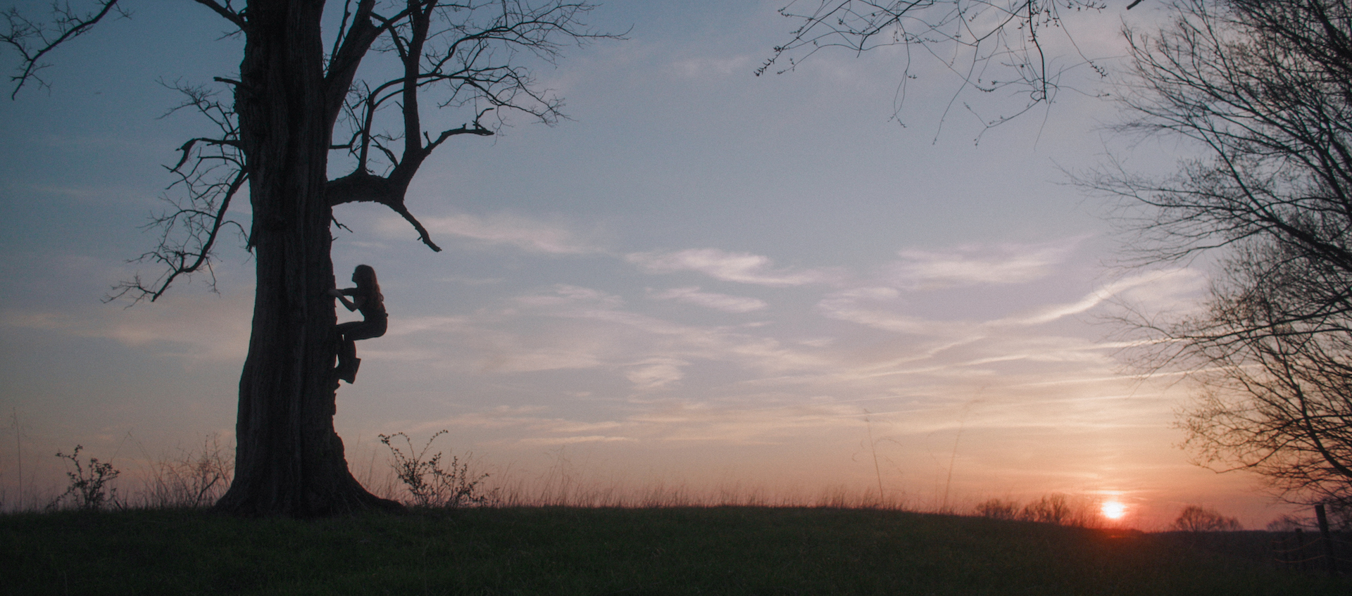 A young girl is in silhouette as she climbs up a tree against a sunset.