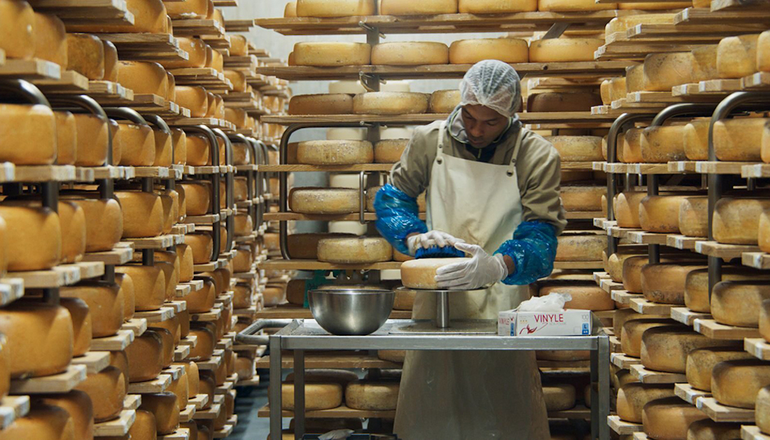 A man is standing in the center of a room with shelves of rinds of cheese surrounding him. The man is standing behind a table, cleaning one of the rinds of cheese. 