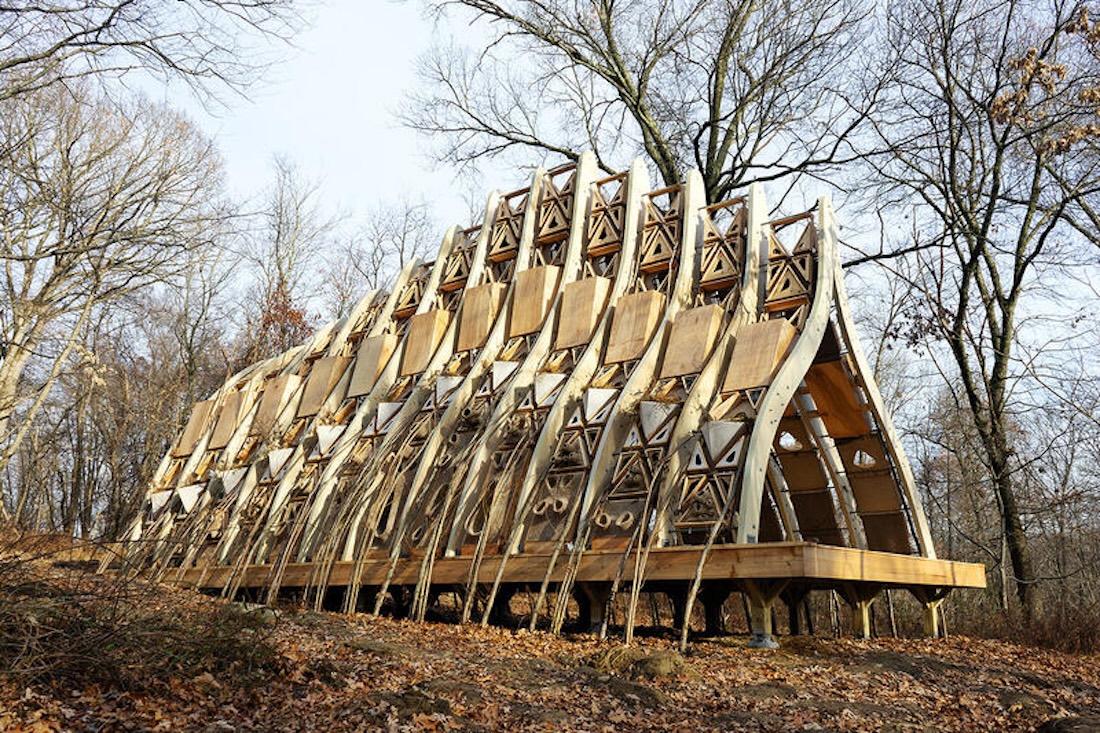 An architectural form with organic curved walls and a pointed roof, made from living trees, stands in a forest clearing.