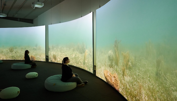 Two people sit in a dark gallery space looking at large, curved screens holding video shot underwater.