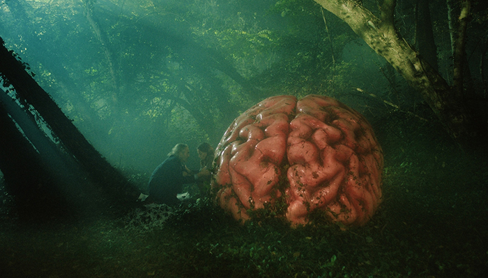 A giant brain in a forest. Two people are crouching to the left and are half the brain's size.