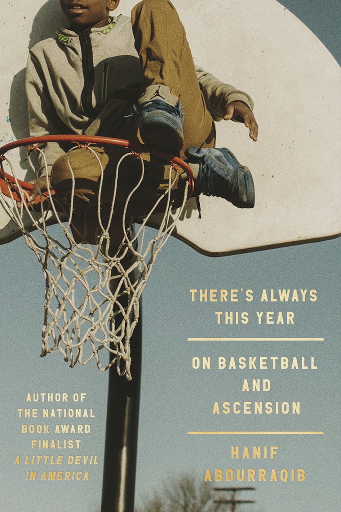 A book cover featuring a photo of a basketball hoop and backboard with a Black boy sitting in the hoop.