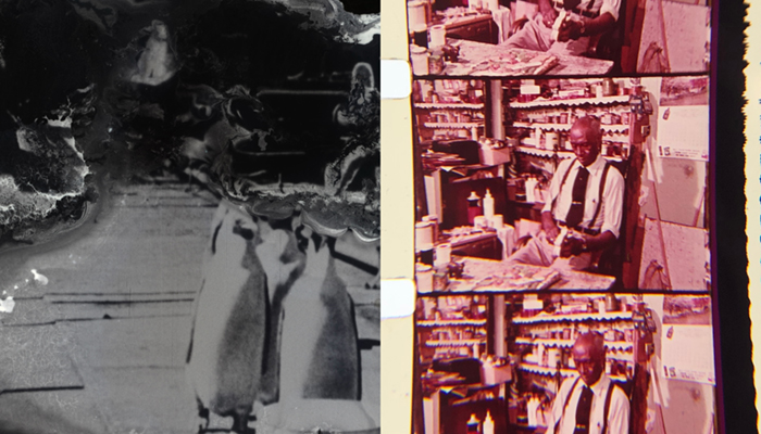 Left side shows a faded, abstract black-and-white image of penguins. Right side displays a series of color film strips with a man seated in a store or workshop.