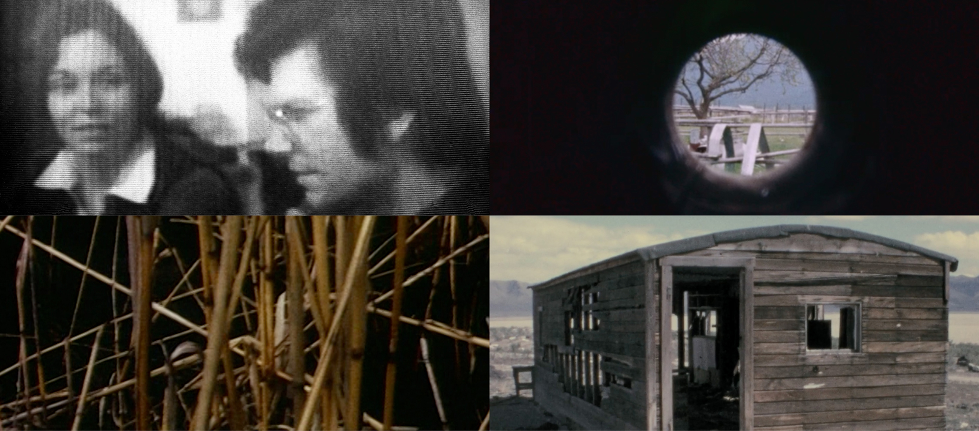 Four photos from Nancy Holt's short films.