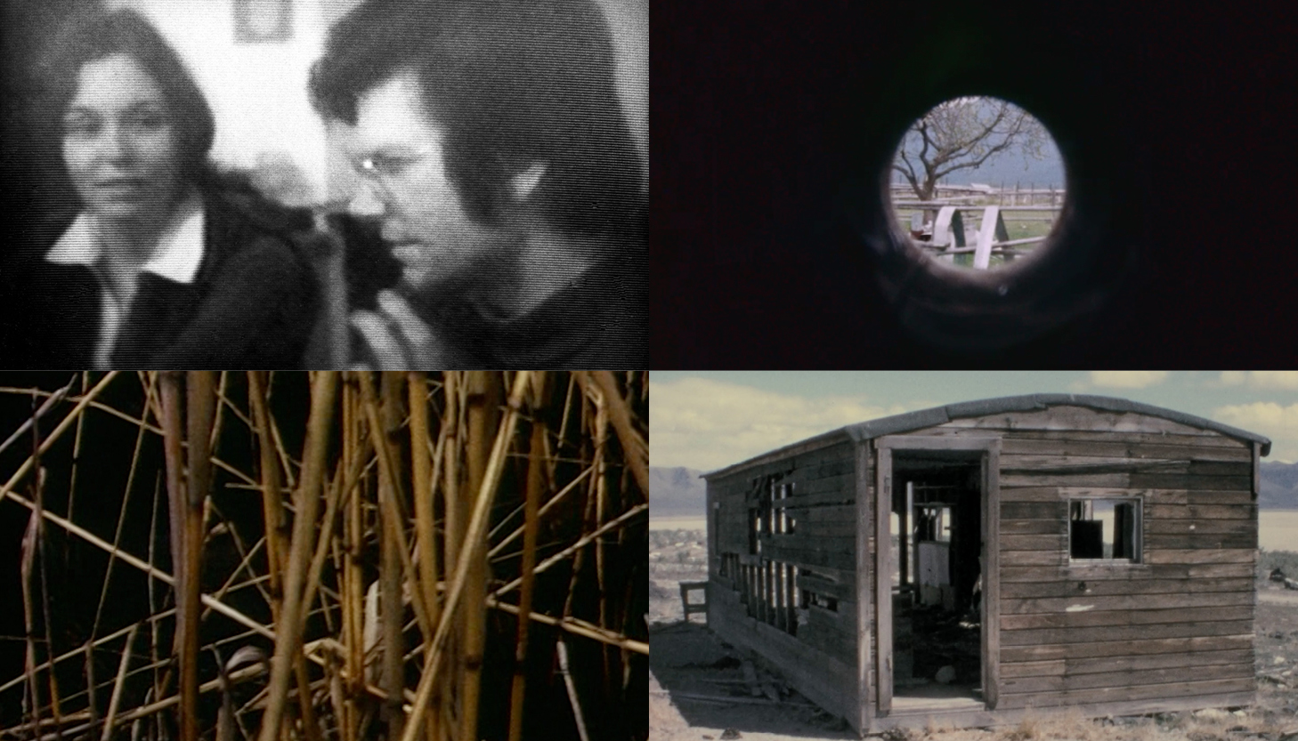 Four photos from Nancy Holt's short films.