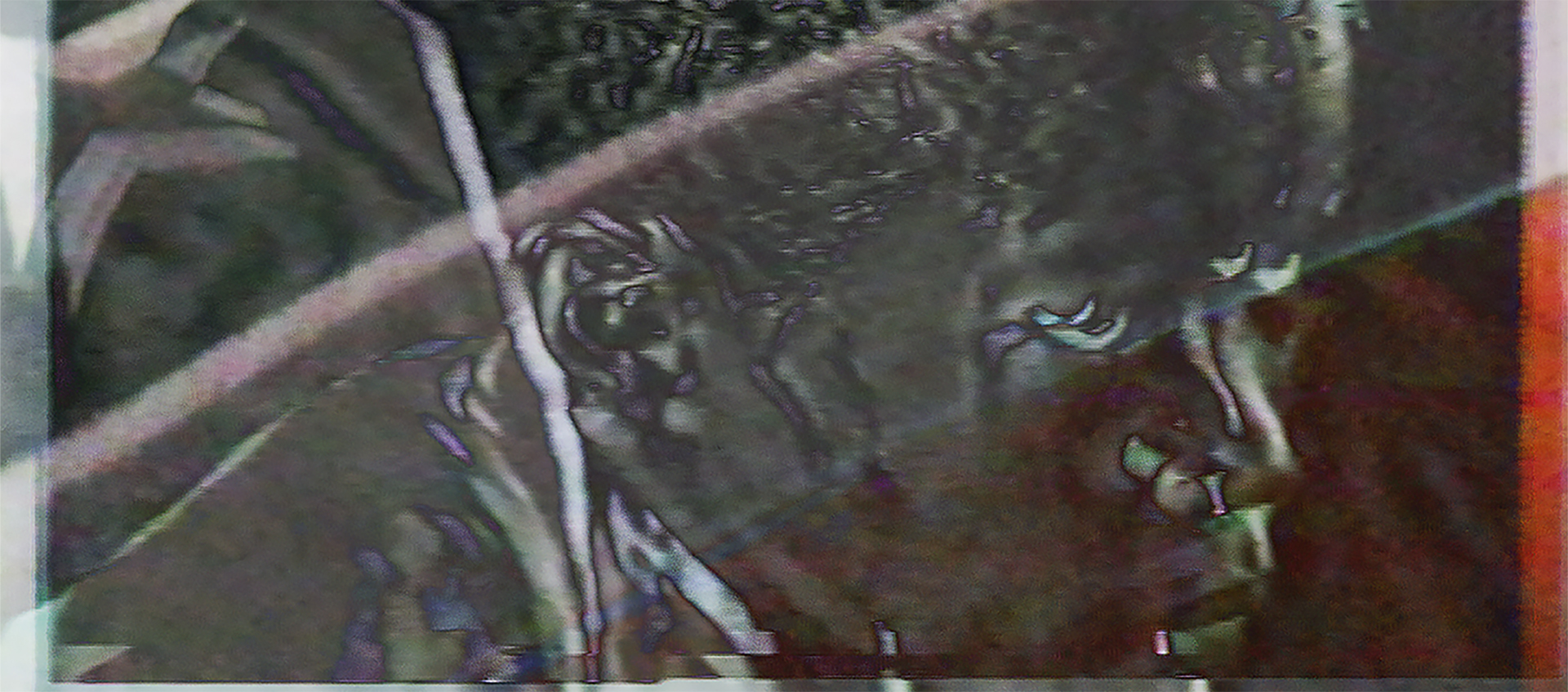 A distorted, glitch-style image of a person’s face and upper body with diagonal lines and visual noise effects.